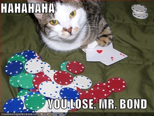 cat poker