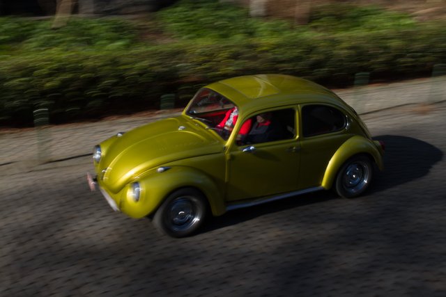 love bug parade brussels 2015