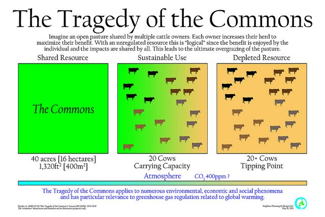 Tragedy of The Commons