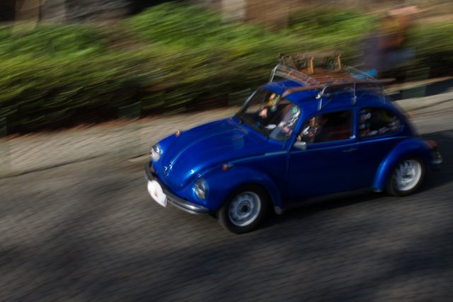 love bug parade brussels 2015