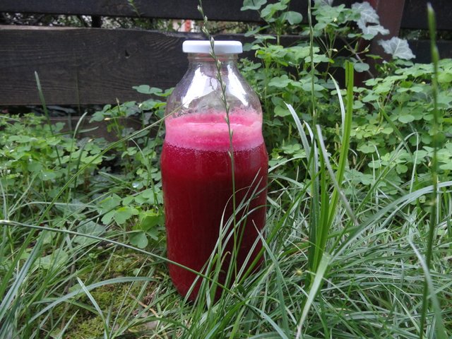 [Juicing With Imagination] Radishes And Beetroot Cocktail