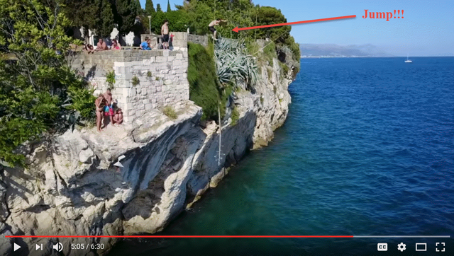 Puppies and Cliff Diving!