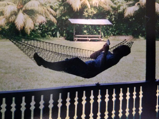 image of hammock