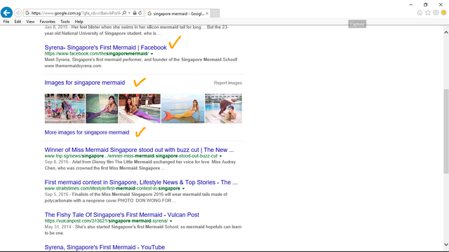 Search Result 1