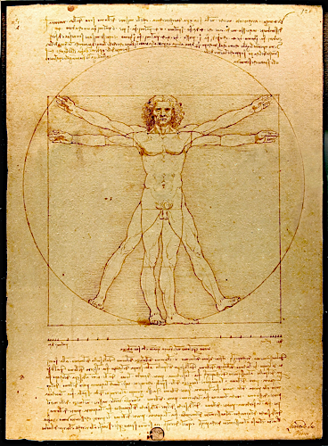 Da Vinci's Harmonious Man