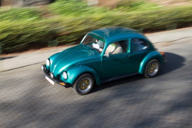 love bug parade brussels 2015