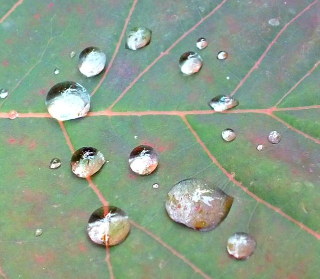 WaterDroplets