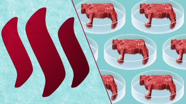 Lab-Grown Meat Without The Need For Live Animals - The Future Of Food ?! —  Steemit