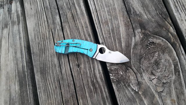 Spyderco Techno Folding Knife is Short, Wide, and Strong, Just