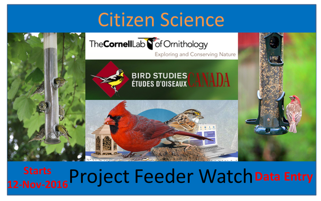 Citizen Science: Project FeederWatch -- Data Entry — Steemit