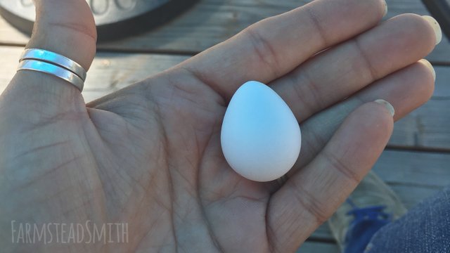 first quail egg