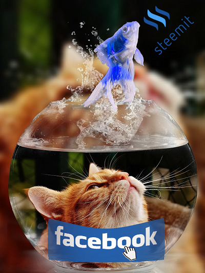 Escape the Facebook Cat