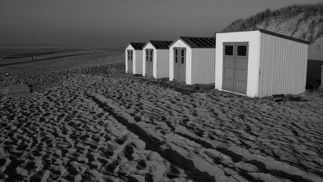 Texel island beach