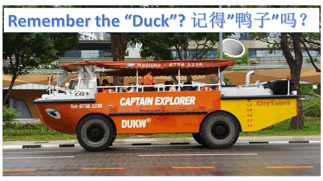 Remember Duck