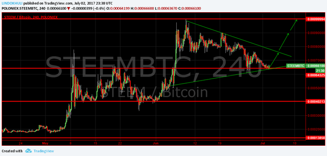 steam crypto coin prediction