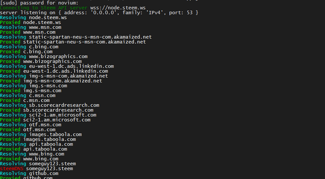 Image of steemDNS in action
