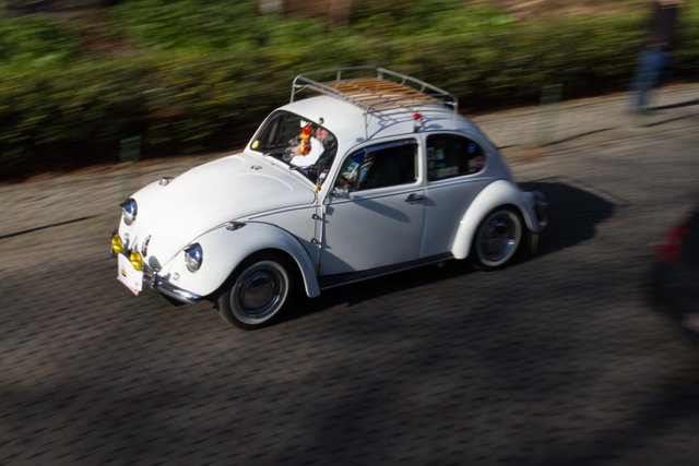 love bug parade brussels 2015