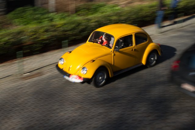 love bug parade brussels 2015