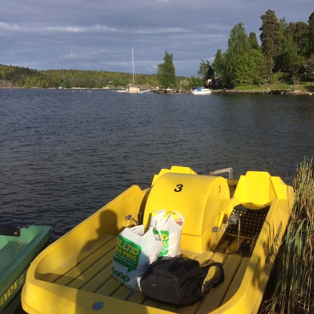 Pedal boat