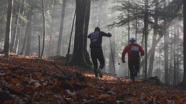 Pohorje Trail