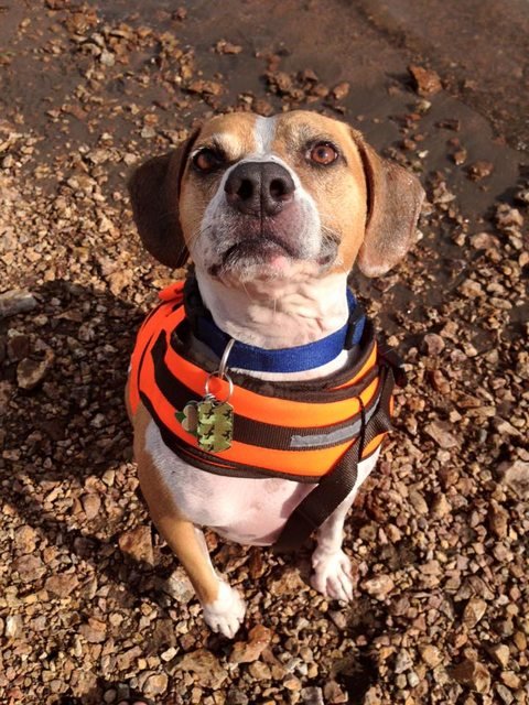 Koodge in his lifejacket