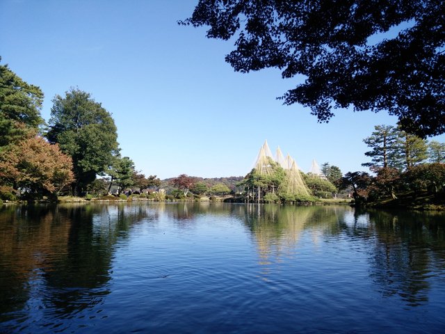 Japanese Gardens And Autumn Leaves — Steemit