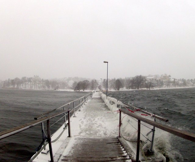 The winter bridge