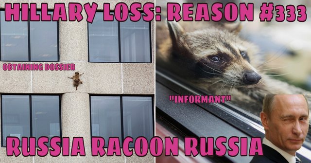 Hillary Loss Reason #333, Russian Racoons