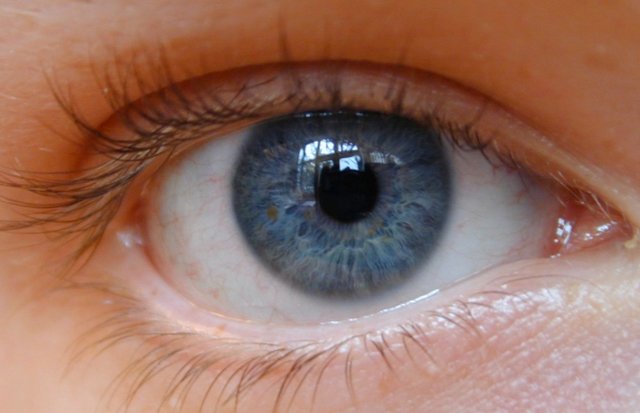 rarest eyes colors in the world — Steemit