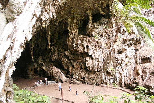 LA CUEVA DEL GUACHARO