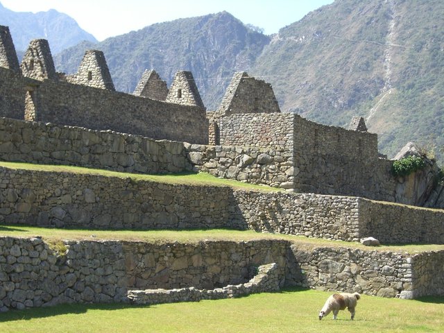 Machu Picchu photo CIMG0659_zpstl5j3xoc.jpg