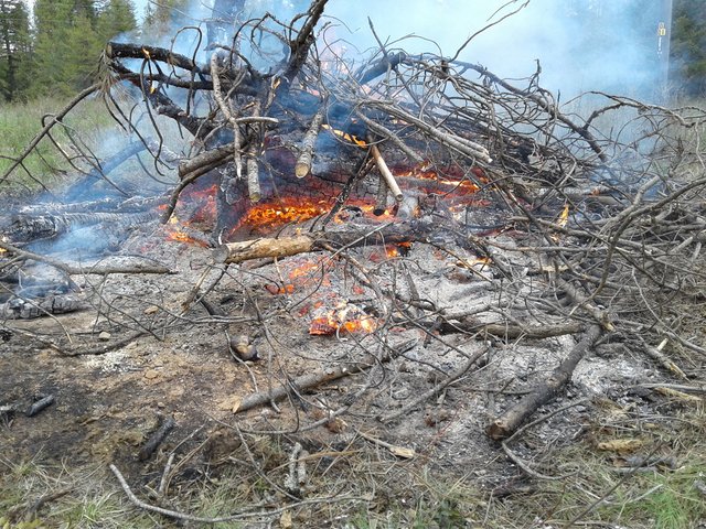 Fire picture 1