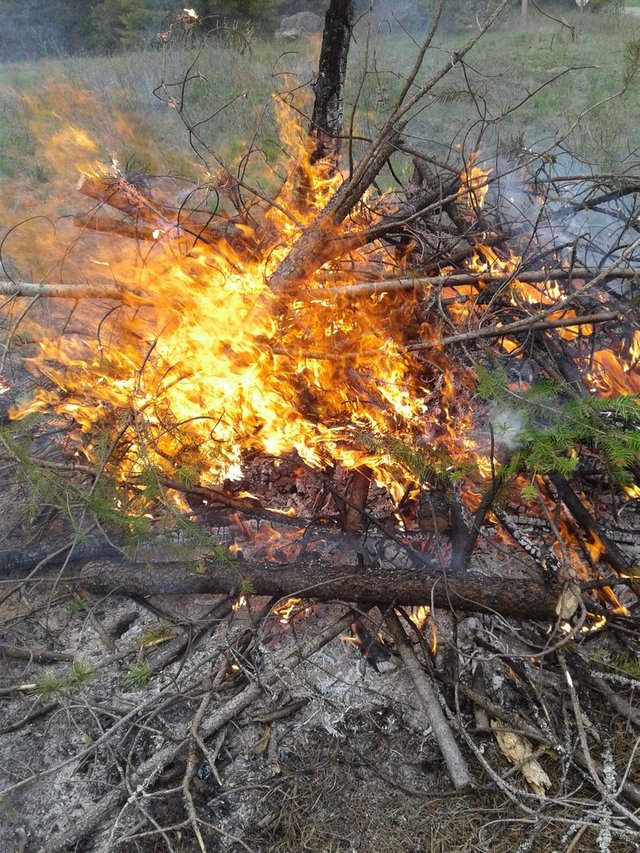 Fire picture 2