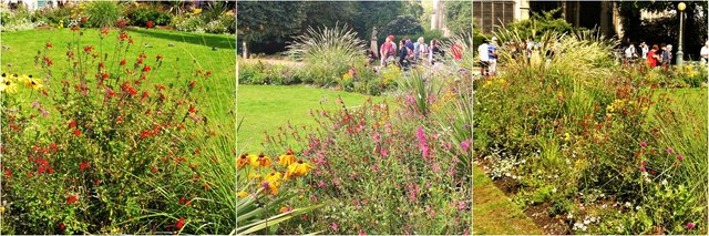 Notre-Dame gardens collage 1