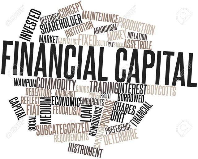 Financial Capital