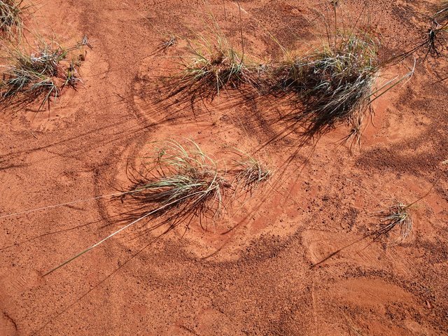 wind patterns