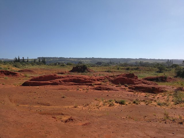 Red Desert vista