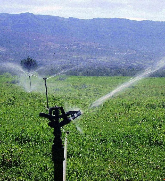 Irrigation