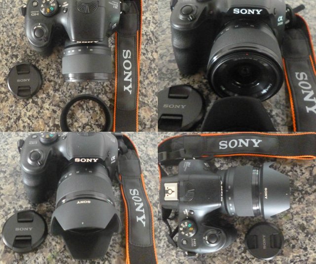 Image and video hosting by TinyPic