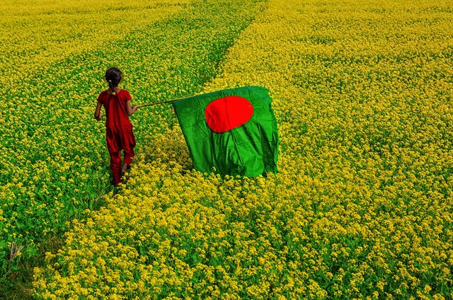 Six Seasons Of Bangladesh Steemit