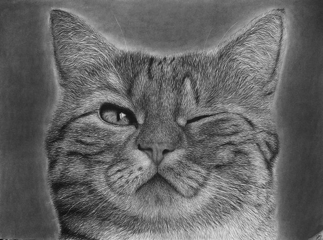 Charcoal Drawing on Pinterest
