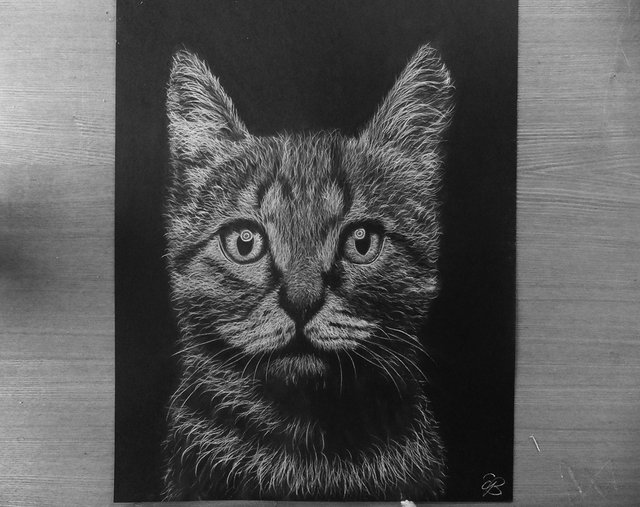 White Pen And White Charcoal Works Compared By EdgarsArt — Steemit
