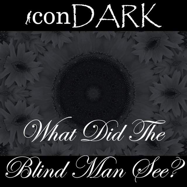 What Did The Blind Man See? by iconDARK