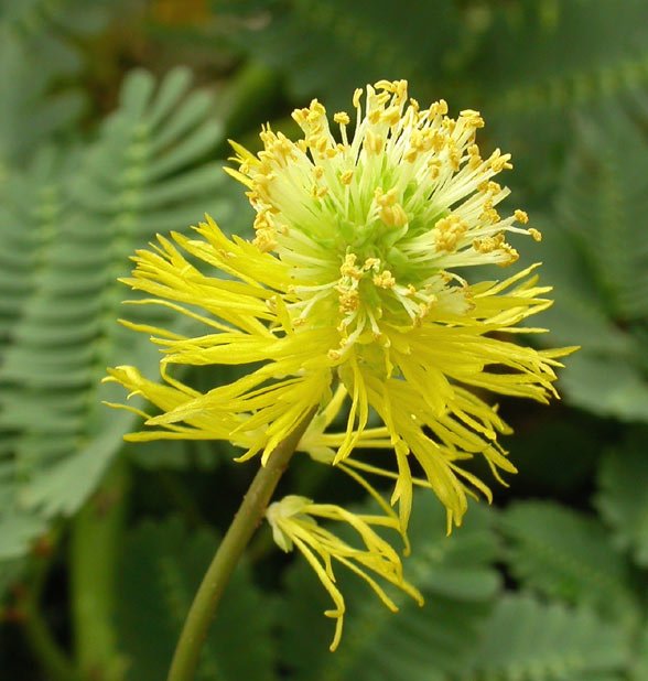 Related image