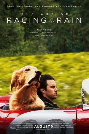 {[HD]}#FuLL PuTloCkeR'$!!   ⌚  WatCH The Art of Racing in the Rain FuLL MOVIE and Free Movie Online  ⌚ 