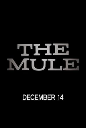  {[HD]}#FuLL PuTloCkeR'$!!    🐢  WatCH The Mule FuLL MOVIE and Free Movie Online  🐢 