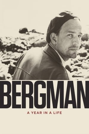 [PUTLOCKER-*HD*]   ☀  WatCH Bergman: A Year in a Life FuLL MOVIE and Free Movie Online  ☀ 