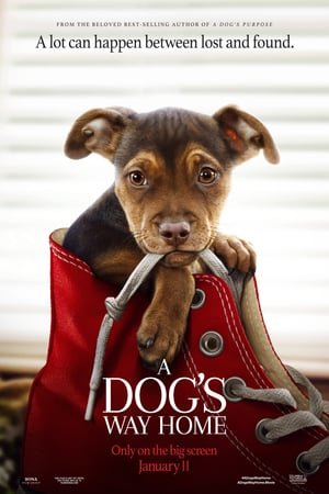  [Putlocker-HD]    ^~* WatCH A Dog's Way Home FuLL MOVIE and Free Movie Online  ^~*