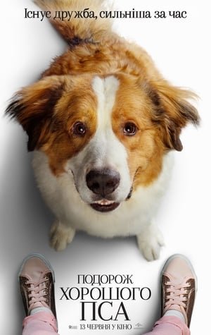  [FILM-HD™]Regarder   ☀  WatCH A Dog's Journey FuLL MOVIE and Free Movie Online  ☀ 