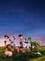 [PUTLOCKER-*HD*]   ⌚  WatCH Toy Story 4 FuLL MOVIE and Free Movie Online  ⌚ 